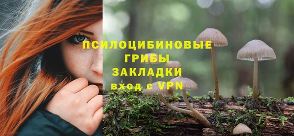 МДПВ Горно-Алтайск