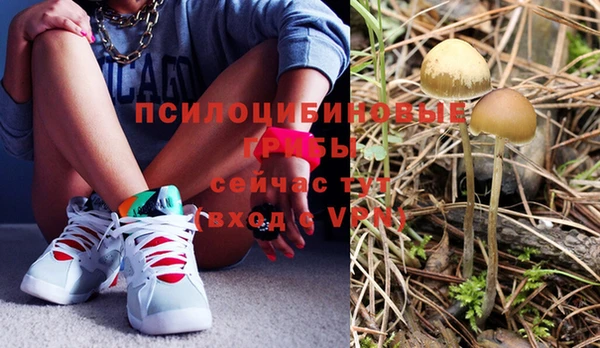бутират Горняк