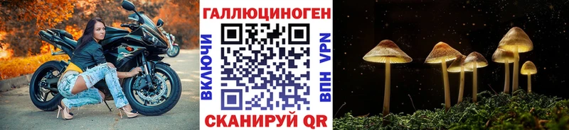 мориарти телеграм  Архангельск  KRAKEN ТОР  Галлюциногенные грибы Cubensis  магазин продажи  